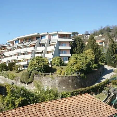 Selva Salvia Cissano